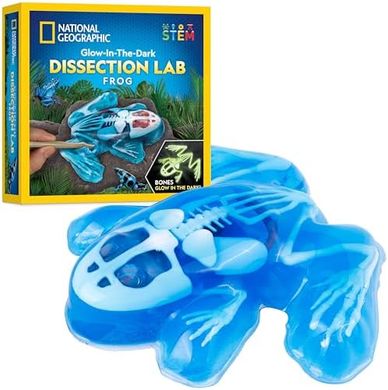 Glow-in-the-Dark Frog Anatomy Lab Kit for Kids
