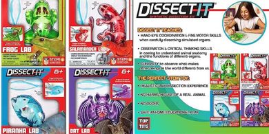 Dissect-It Jr. Science Kit: Explore Animal Biology & STEM
