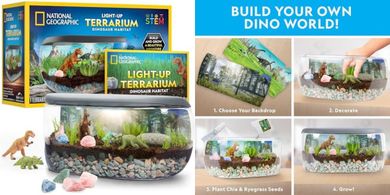 National Geographic Dinosaur Terrarium Kit: Real Plants, Gemstones
