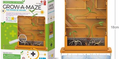 Grow A Plant Maze Science Kit for Kids (Ages 5+)
