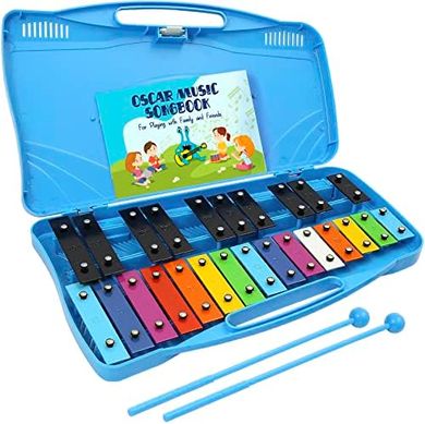 Colorful 25-Note Metal Xylophone with Songbook & Case