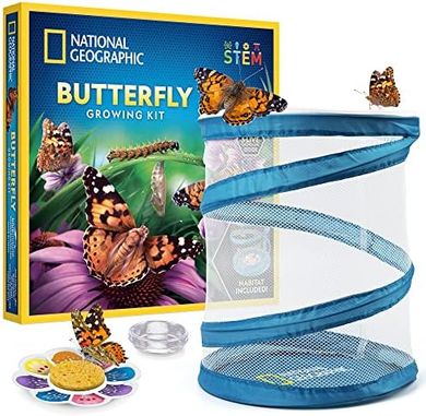 National Geographic Butterfly Growing Kit: Raise 5 Butterflies (Cage & Feeder Included)
