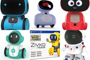 Top 5 Interactive Learning Robots for Kids