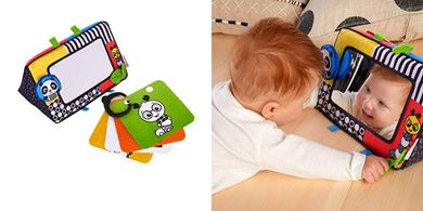 Baby Einstein Flip-for-Art Activity Mirror & Cards