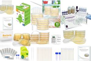 Top 5 Microbiology Science Kits for Budding Scientists
