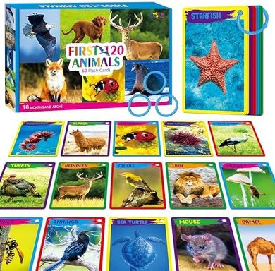 My First 120 Animal Flashcards: Montessori Preschool Learning