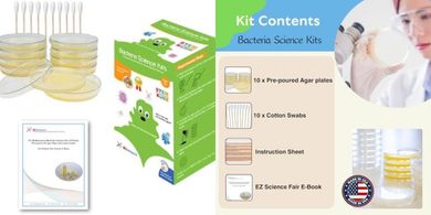 Bacteria Science Kit: LB Agar & Swabs, Plus Award-Winning Experiments eBook