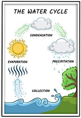 Water Cycle Science Classroom Charts (12x18")