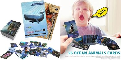 Ocean Animal Flash Cards: Educational Toys for Kids