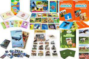 Adorable Animal Flash Cards for Kids: Top 5 Picks