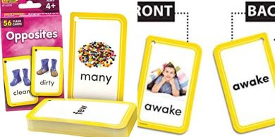 Opposites Flash Cards for Teachers